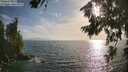 ./images/koeye/fitz-hugh/20260722/fitz-hugh20260722_185001M.jpg