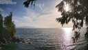 ./images/koeye/fitz-hugh/20260722/fitz-hugh20260722_185501M.jpg