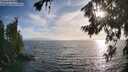 ./images/koeye/fitz-hugh/20260722/fitz-hugh20260722_191002M.jpg