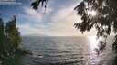 ./images/koeye/fitz-hugh/20260722/fitz-hugh20260722_191501M.jpg