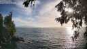 ./images/koeye/fitz-hugh/20260722/fitz-hugh20260722_192001M.jpg
