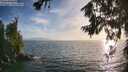 ./images/koeye/fitz-hugh/20260722/fitz-hugh20260722_194002M.jpg