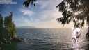 ./images/koeye/fitz-hugh/20260722/fitz-hugh20260722_194501M.jpg