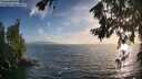 ./images/koeye/fitz-hugh/20260722/fitz-hugh20260722_195502M.jpg