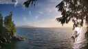 ./images/koeye/fitz-hugh/20260722/fitz-hugh20260722_200001M.jpg
