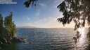./images/koeye/fitz-hugh/20260722/fitz-hugh20260722_201001M.jpg