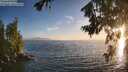 ./images/koeye/fitz-hugh/20260722/fitz-hugh20260722_203502M.jpg