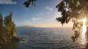 ./images/koeye/fitz-hugh/20260722/fitz-hugh20260722_204002M.jpg