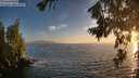 ./images/koeye/fitz-hugh/20260722/fitz-hugh20260722_205001M.jpg