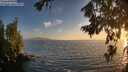 ./images/koeye/fitz-hugh/20260722/fitz-hugh20260722_205502M.jpg