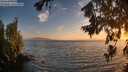 ./images/koeye/fitz-hugh/20260722/fitz-hugh20260722_211001M.jpg