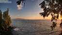 ./images/koeye/fitz-hugh/20260722/fitz-hugh20260722_211501M.jpg