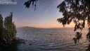 ./images/koeye/fitz-hugh/20260722/fitz-hugh20260722_213501M.jpg