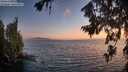./images/koeye/fitz-hugh/20260722/fitz-hugh20260722_214001M.jpg
