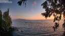 ./images/koeye/fitz-hugh/20260722/fitz-hugh20260722_214502M.jpg