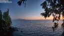 ./images/koeye/fitz-hugh/20260722/fitz-hugh20260722_221002M.jpg