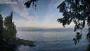 ./images/koeye/fitz-hugh/20260723/fitz-hugh20260723_072501M.jpg
