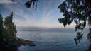 ./images/koeye/fitz-hugh/20260723/fitz-hugh20260723_073501M.jpg