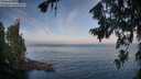 ./images/koeye/fitz-hugh/20260723/fitz-hugh20260723_074501M.jpg