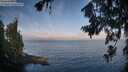./images/koeye/fitz-hugh/20260723/fitz-hugh20260723_075501M.jpg