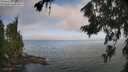 ./images/koeye/fitz-hugh/20260723/fitz-hugh20260723_082501M.jpg