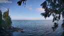 ./images/koeye/fitz-hugh/20260723/fitz-hugh20260723_085502M.jpg