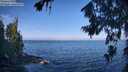 ./images/koeye/fitz-hugh/20260723/fitz-hugh20260723_090501M.jpg