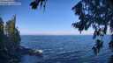 ./images/koeye/fitz-hugh/20260723/fitz-hugh20260723_094501M.jpg