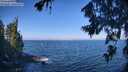 ./images/koeye/fitz-hugh/20260723/fitz-hugh20260723_100001M.jpg