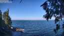 ./images/koeye/fitz-hugh/20260723/fitz-hugh20260723_101001M.jpg