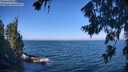 ./images/koeye/fitz-hugh/20260723/fitz-hugh20260723_101501M.jpg