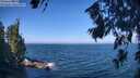 ./images/koeye/fitz-hugh/20260723/fitz-hugh20260723_102002M.jpg