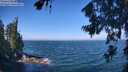 ./images/koeye/fitz-hugh/20260723/fitz-hugh20260723_104001M.jpg
