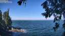 ./images/koeye/fitz-hugh/20260723/fitz-hugh20260723_104501M.jpg