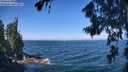 ./images/koeye/fitz-hugh/20260723/fitz-hugh20260723_105501M.jpg