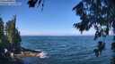 ./images/koeye/fitz-hugh/20260723/fitz-hugh20260723_111501M.jpg
