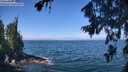 ./images/koeye/fitz-hugh/20260723/fitz-hugh20260723_113001M.jpg