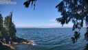 ./images/koeye/fitz-hugh/20260723/fitz-hugh20260723_115001M.jpg