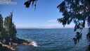 ./images/koeye/fitz-hugh/20260723/fitz-hugh20260723_115501M.jpg
