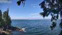 ./images/koeye/fitz-hugh/20260723/fitz-hugh20260723_120501M.jpg
