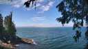 ./images/koeye/fitz-hugh/20260723/fitz-hugh20260723_124501M.jpg