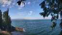 ./images/koeye/fitz-hugh/20260723/fitz-hugh20260723_130001M.jpg
