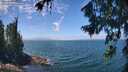 ./images/koeye/fitz-hugh/20260723/fitz-hugh20260723_131001M.jpg