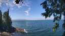 ./images/koeye/fitz-hugh/20260723/fitz-hugh20260723_131501M.jpg