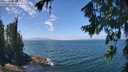 ./images/koeye/fitz-hugh/20260723/fitz-hugh20260723_132001M.jpg