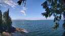 ./images/koeye/fitz-hugh/20260723/fitz-hugh20260723_132501M.jpg