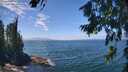 ./images/koeye/fitz-hugh/20260723/fitz-hugh20260723_133001M.jpg