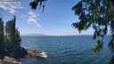 ./images/koeye/fitz-hugh/20260723/fitz-hugh20260723_133502M.jpg