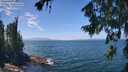 ./images/koeye/fitz-hugh/20260723/fitz-hugh20260723_134002M.jpg