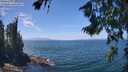 ./images/koeye/fitz-hugh/20260723/fitz-hugh20260723_134501M.jpg